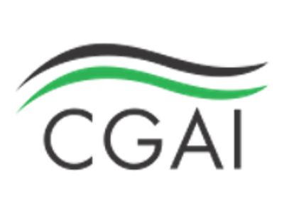 Corporate Governance Association of Ireland