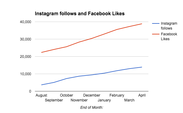 coco boutique social media following